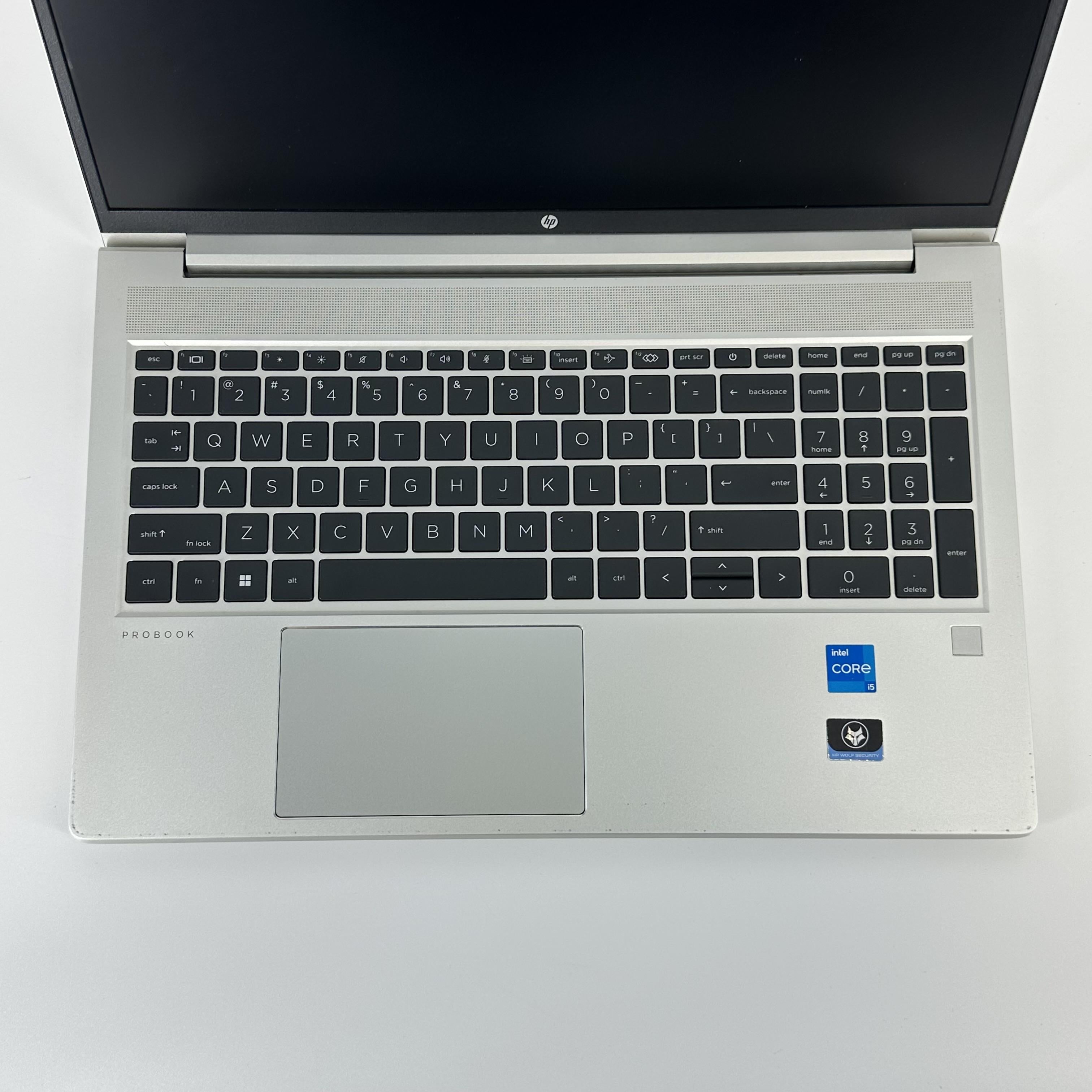 HP ProBook 450 G10 15.6 Silver 1.3 GHz Intel Core i5 13th Gen. 8GB RAM 256GB Solid State Drive