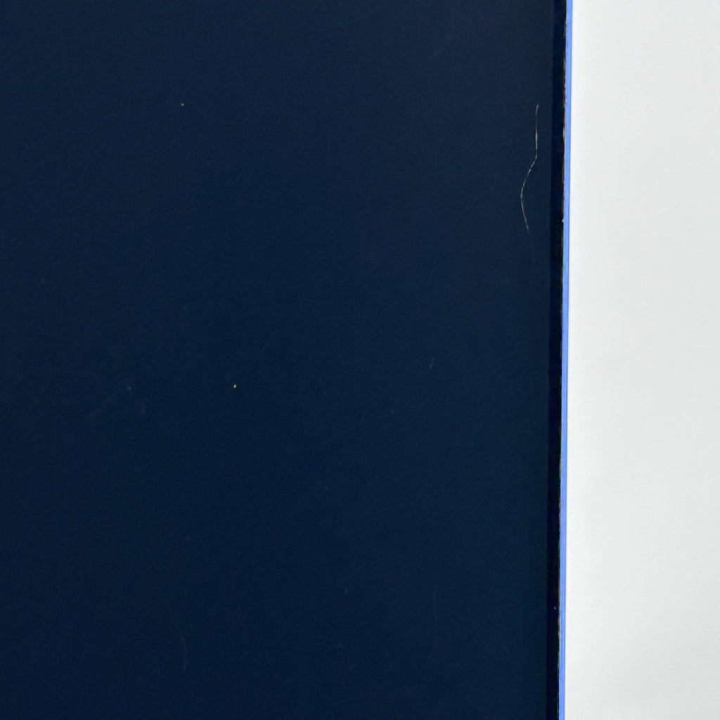 Galaxy S25 Plus 12GB RAM 256GB Blue (Boost)